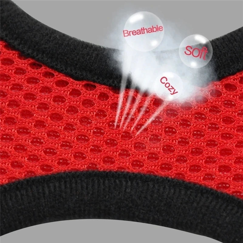 The ultimate dog walking harness lead