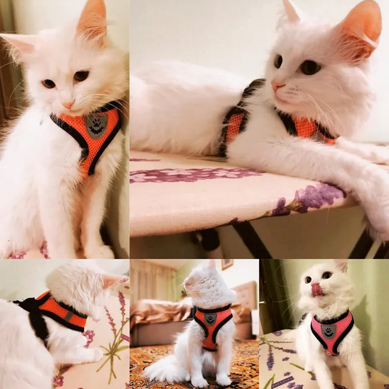 Super Comfortable Adjustable Pet Harness Vest Walking Lead
