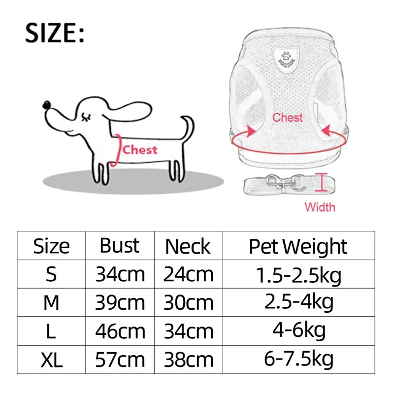 The ultimate dog walking harness lead