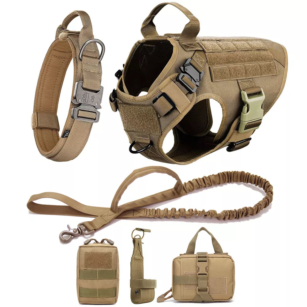 Large Dog Harness And Leash Set - Training Walking Vest