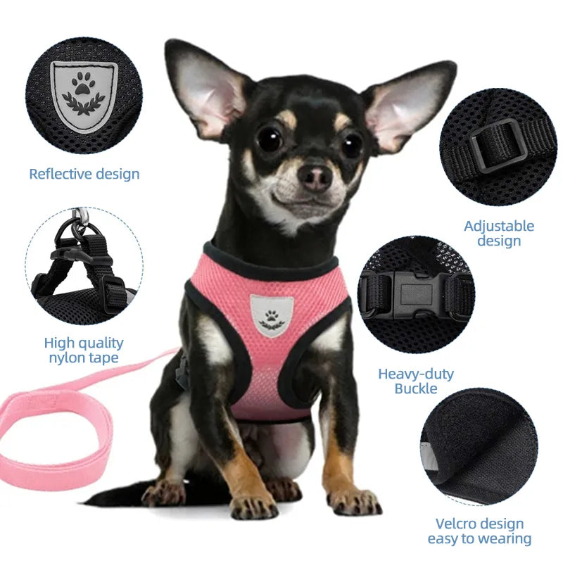 The ultimate dog walking harness lead