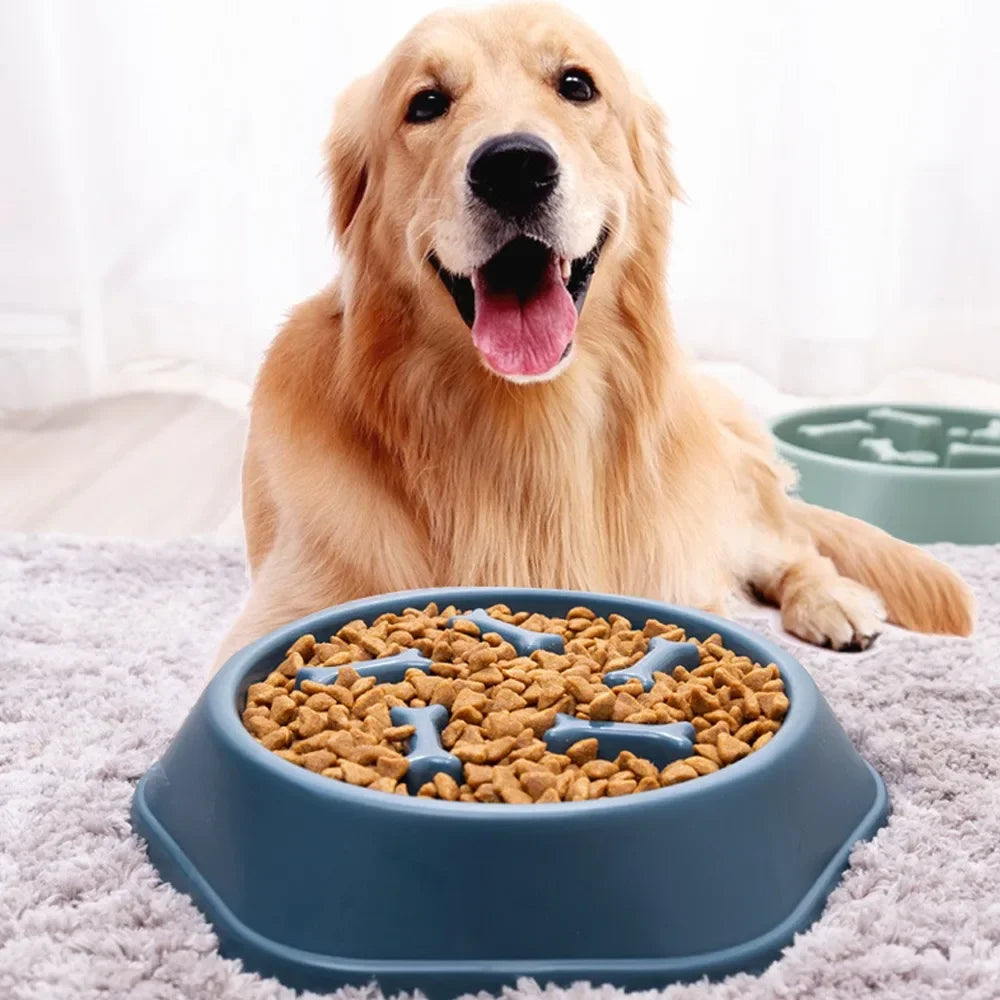 Slow Feeder for dogs and cats