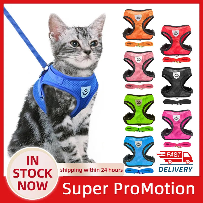 Super Comfortable Adjustable Pet Harness Vest Walking Lead