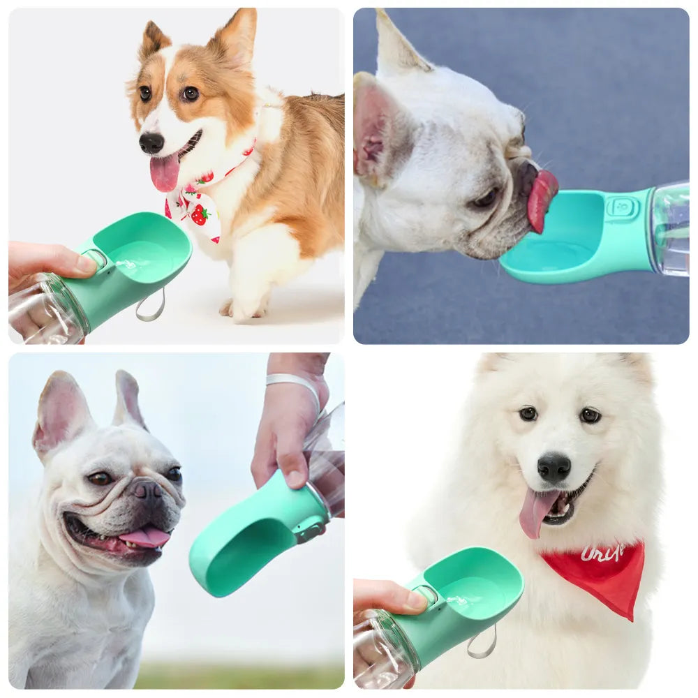 Portable Cat or Dog Water Bottle - Great for outdoors