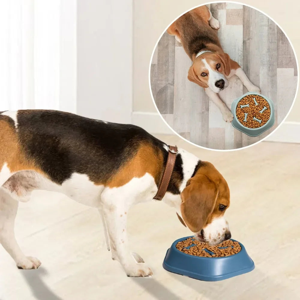 Slow Feeder for dogs and cats