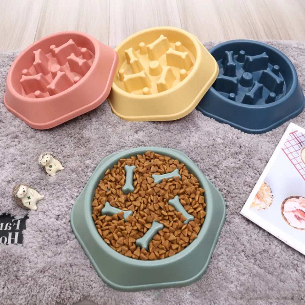 Slow Feeder for dogs and cats