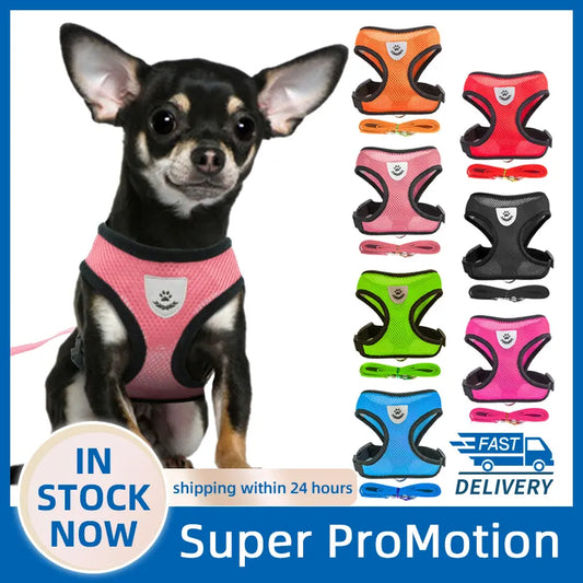 The ultimate dog walking harness lead
